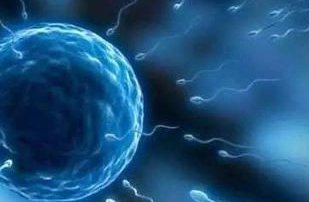 如何保证试管婴儿的成功率？广东做三代试管婴儿是真的吗？