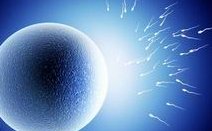 苏州做第二代试管婴儿需要多少钱？如何避免试管婴儿的风险？