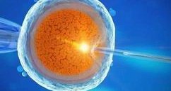 冰块会不会导致不孕不育（冰块会不会导致不孕不育呢）