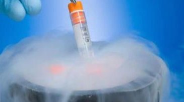 因疫情外院自愿终结治愈，转入罗湖医院生殖科，试管助孕一次顺利