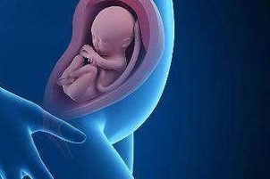 试管技术能否预防遗传病？遗传病试管遗传风险解析